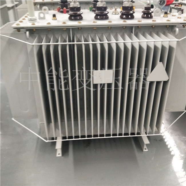 怒江S20-800KVA变压器