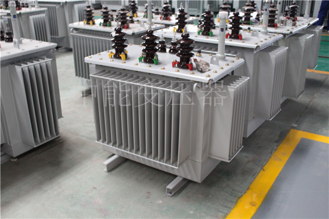 怒江S22-100KVA/10KV/0.4KV变压器